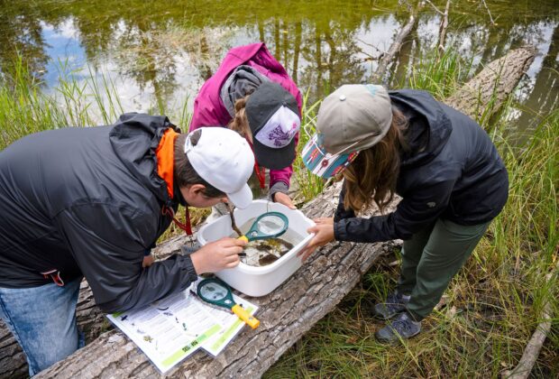 Ancrés dans la nature pour grandir ensemble
