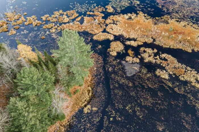 Vue aérienne du milieu humide.