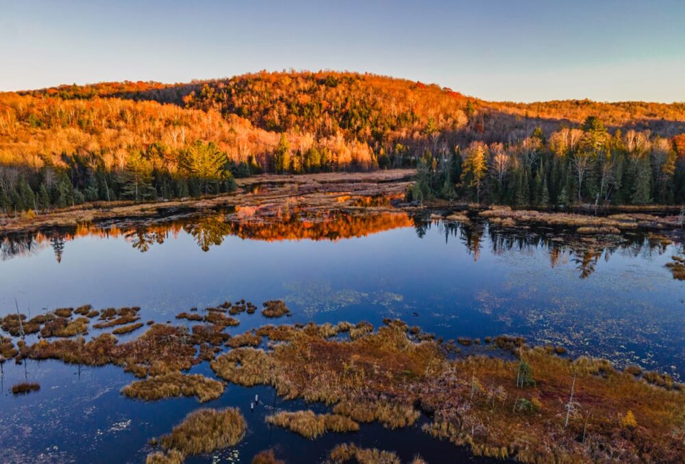 Le milieu naturel conservé à Chénéville.
