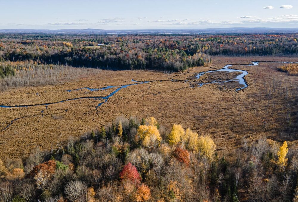 Vue aérienne du milieu naturel conservé à Lachute.