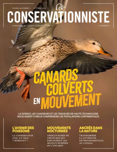 Le Conservationniste