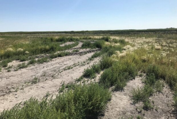 Comment notre programme automnal relatif aux régions à faible rendement profite-t-il aux propriétaires fonciers?