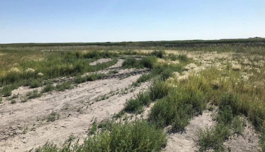 Comment notre programme automnal relatif aux régions à faible rendement profite-t-il aux propriétaires fonciers?