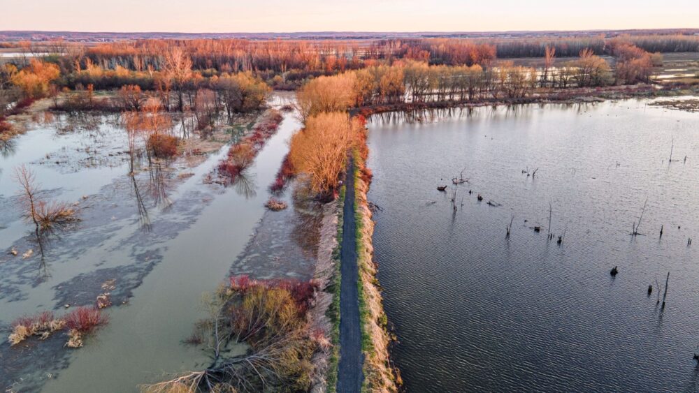 Une initiative porteuse afin d’accélérer la mobilisation pour la restauration et la création de milieux humides au Québec