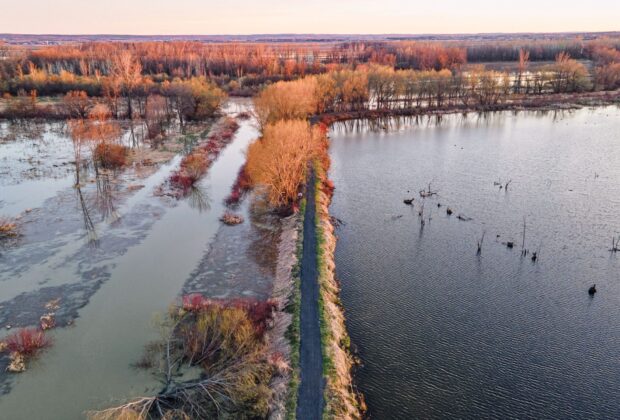 Une initiative porteuse afin d’accélérer la mobilisation pour la restauration et la création de milieux humides au Québec