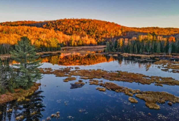 Canards Illimités Canada conserve plus de 500  hectares de milieux naturels au Québec en 2  ans grâce au projet ACSQ
