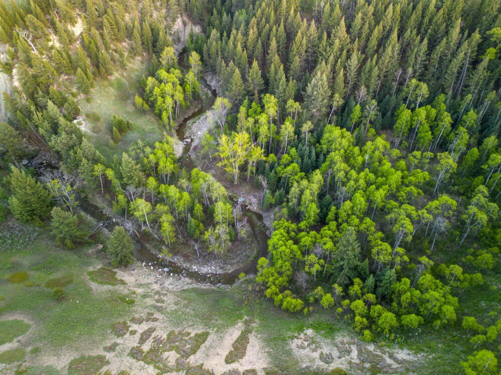 Le modèle de financement de la protection de la nature au Canada  se démarque de la tendance mondiale
