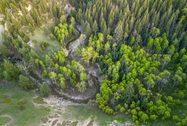 Le modèle de financement de la protection de la nature au Canada  se démarque de la tendance mondiale
