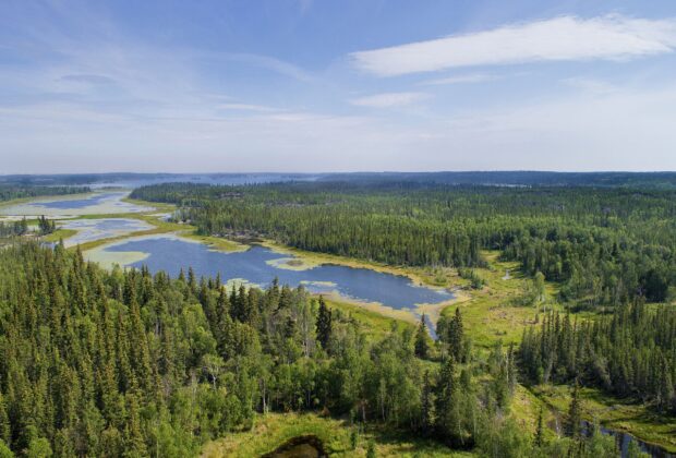 Journée mondiale des zones humides : la conservation de la région boréale du Canada soutient les collectivités, la faune et notre climat
