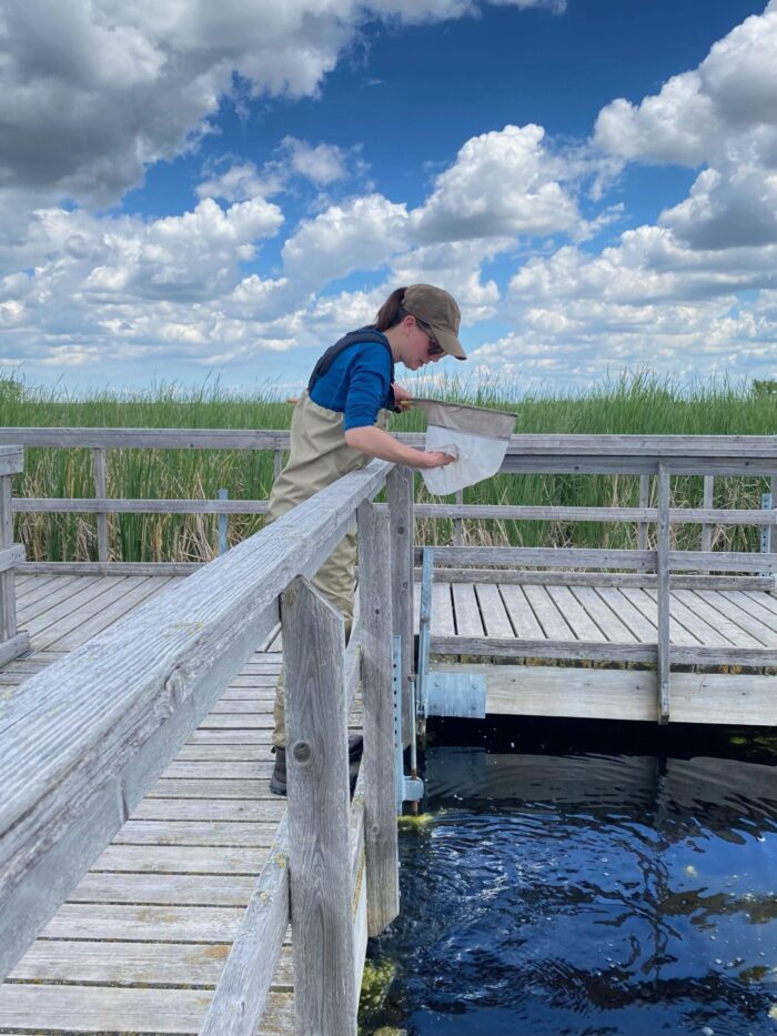 Lauren Bortolotti, chercheuse scientifique à l’Institut de recherche sur les terres humides et la sauvagine de CIC, examine une épuisette à la recherche d’invertébrés dans le marais Oak Hammock, au Manitoba.