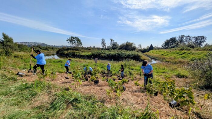 Des bénévoles de Force de la nature et des employés de Canards Illimités Canada travaillent ensemble pour installer une barrière benthique à Addington Point, dans les basses-terres continentales, en Colombie-Britannique. 