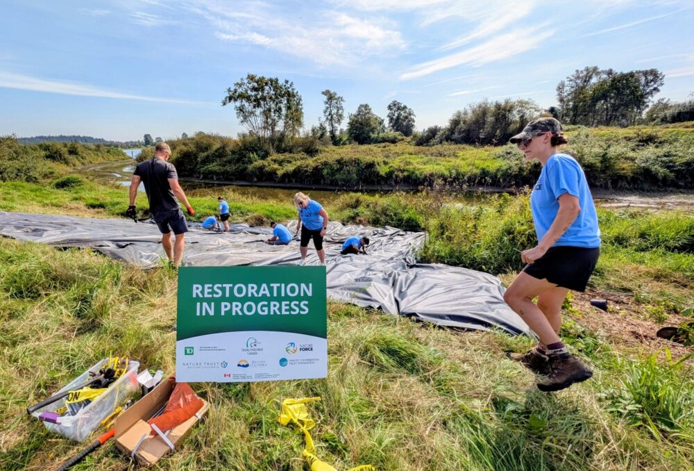 Des bénévoles de Force de la nature et des employés de Canards Illimités Canada travaillent ensemble pour installer une barrière benthique à Addington Point, dans les basses-terres continentales, en Colombie-Britannique.