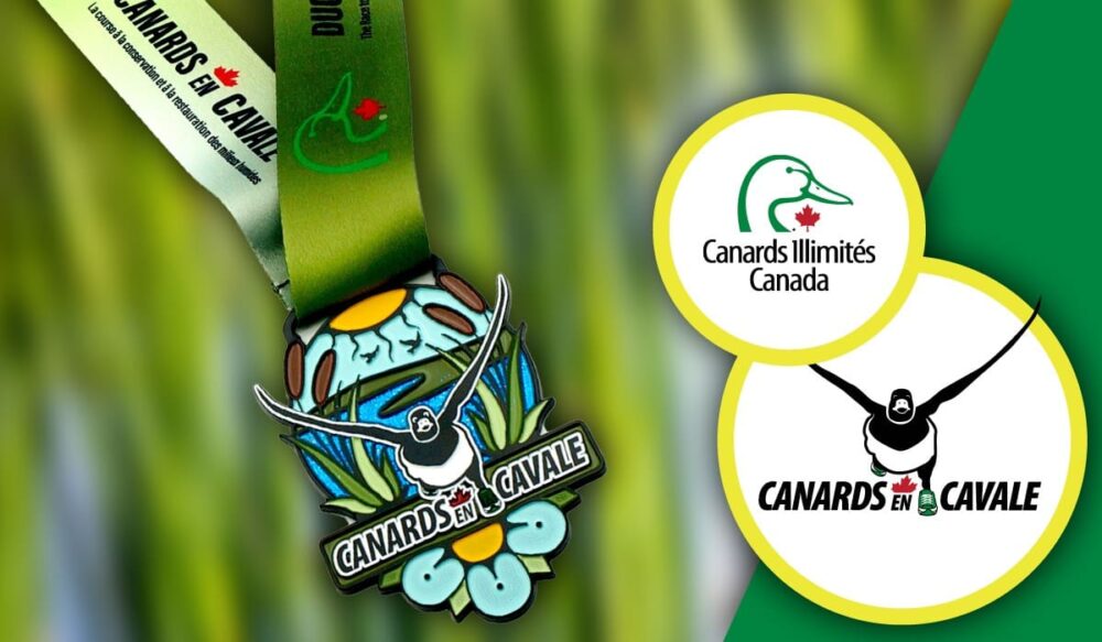 La collecte de fonds nationale de Canards Illimités Canada, Canards en Cavale, aura lieu dans plus de communautés