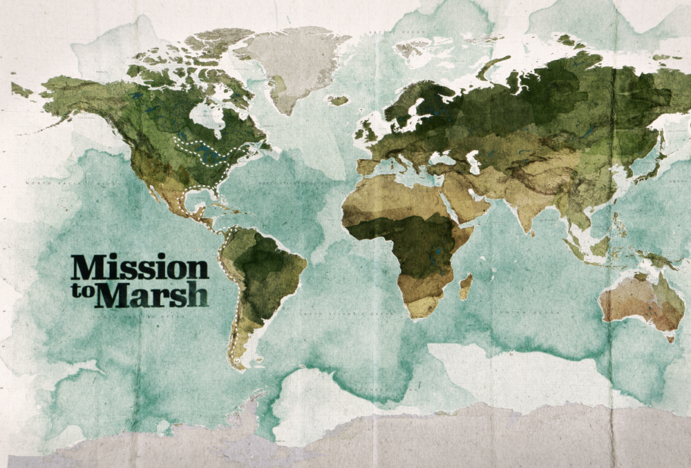 Mission to Marsh 