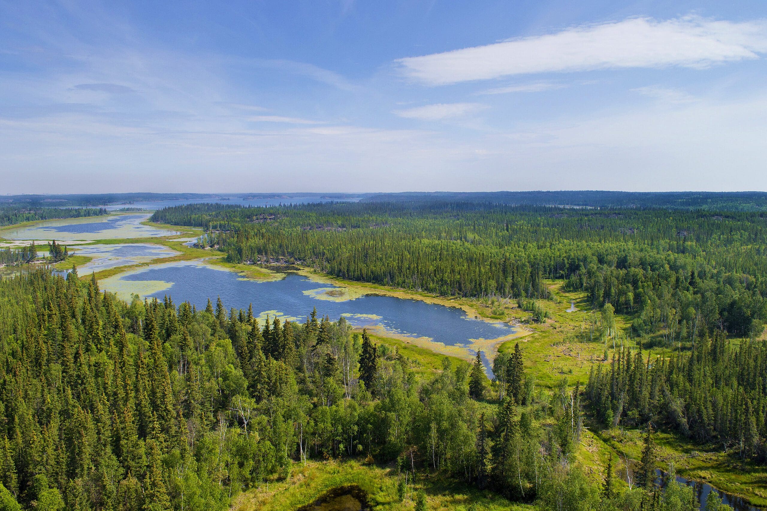 Aurora borealis over a boreal lake.