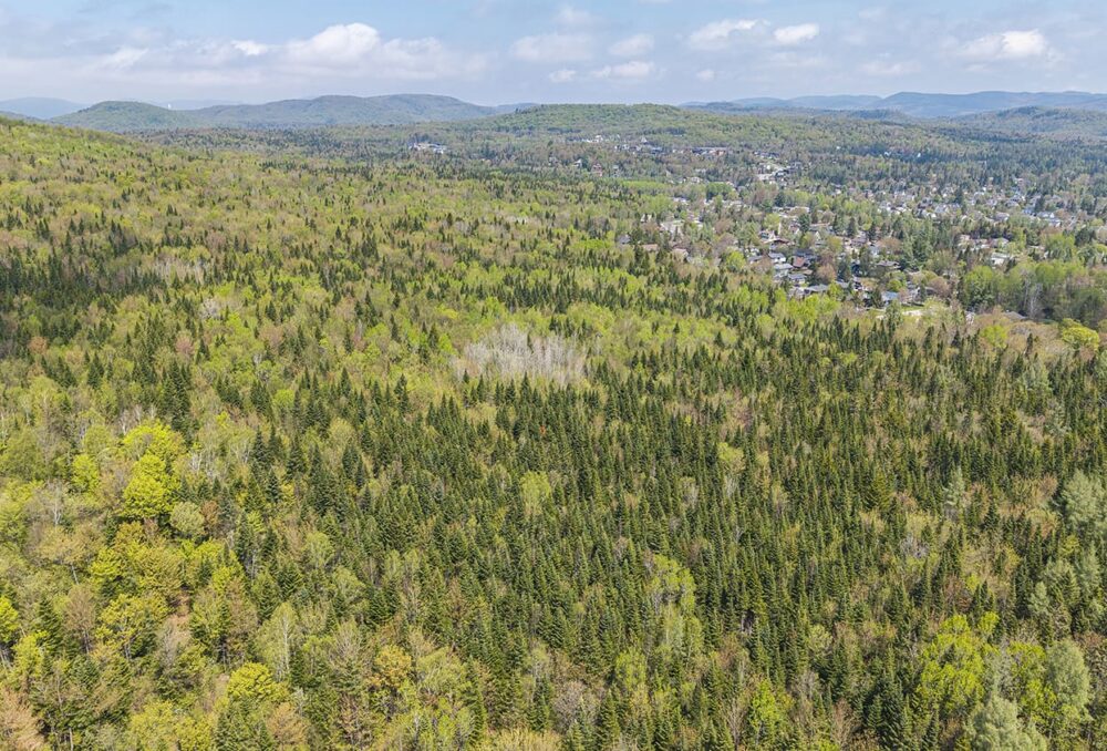 Le terrain acquis près de Lac-Beauport.