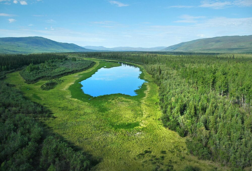 Le ciel se reflète dans un milieu humide isolé du Yukon qui est entouré par les montagnes et la verdure de la forêt boréale nordique.