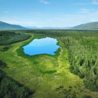 La région boréale: Le grand cœur vert du Canada