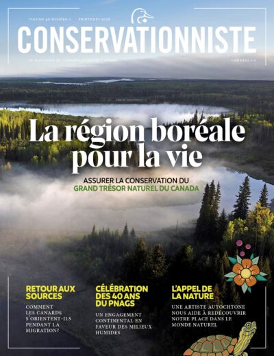 Le Conservationniste