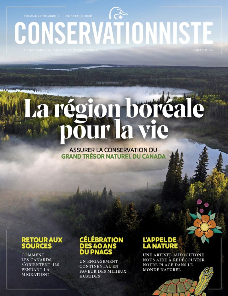Au sommaire dans le Conservationniste 