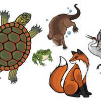 L’appel de la nature: L’artiste Justine Proulx
