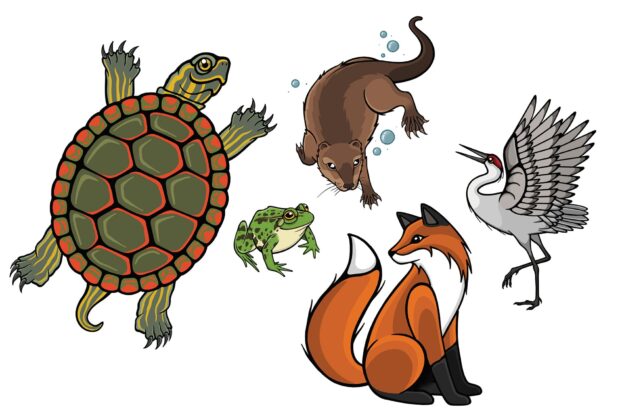 L’appel de la nature: L’artiste Justine Proulx
