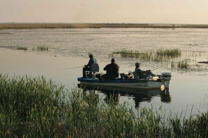 Trois hommes pêchent dans un marais.
