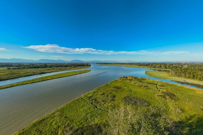 Delta du fleuve Fraser.