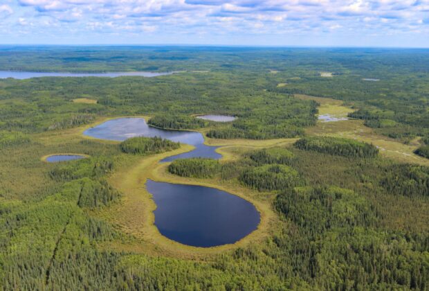 La cartographie fondée sur l’intelligence artificielle contribue à faire progresser l’inventaire des milieux humides en Alberta