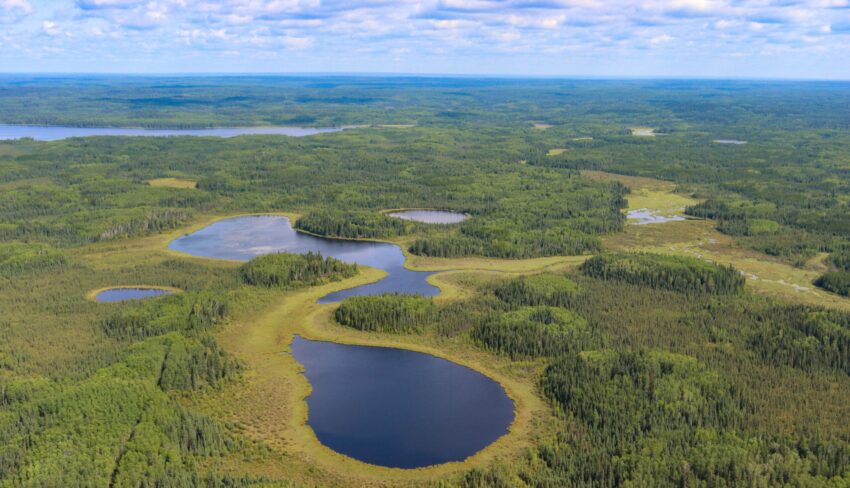La cartographie fondée sur l’intelligence artificielle contribue à faire progresser l’inventaire des milieux humides en Alberta