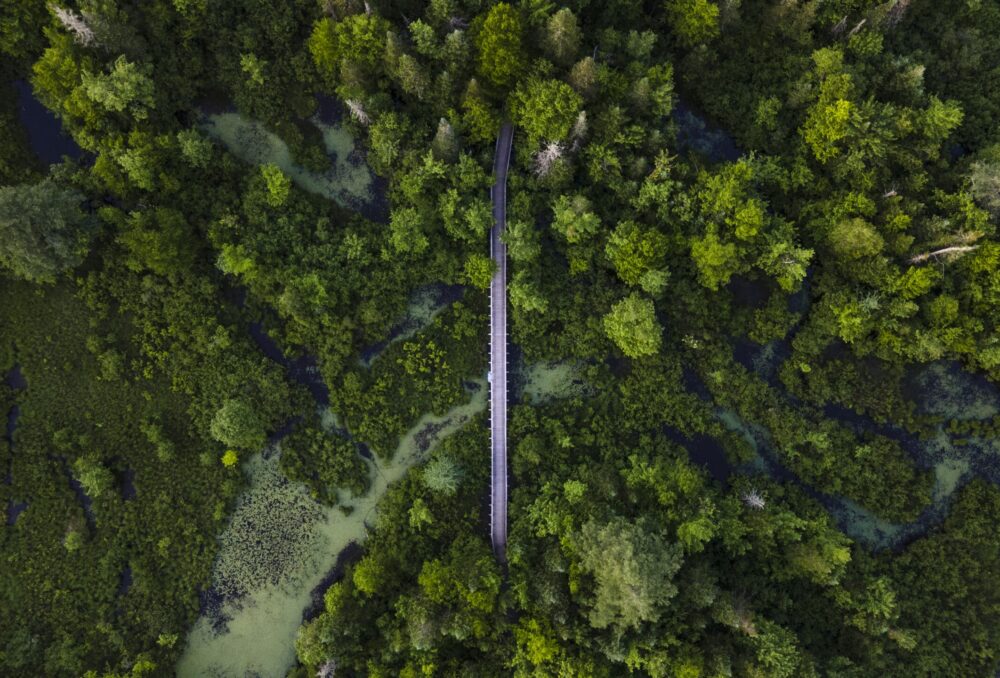 Milieu humide vu du ciel.