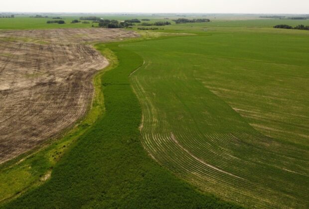 Les milieux humides restaurées présentent un fort potentiel fourrager sur les terres agricoles à faible rendement