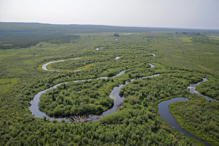 Ruisseau sinueux dans la region boréale.