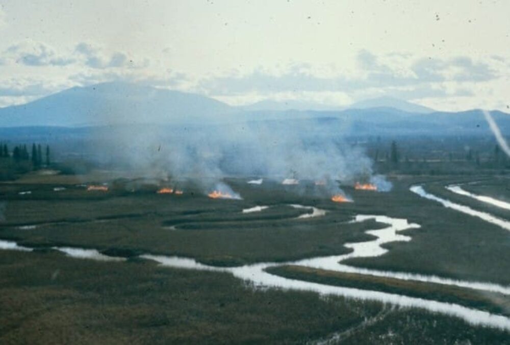 Incendie dans la partie sud de Bummers Flats. Photo d'époque.