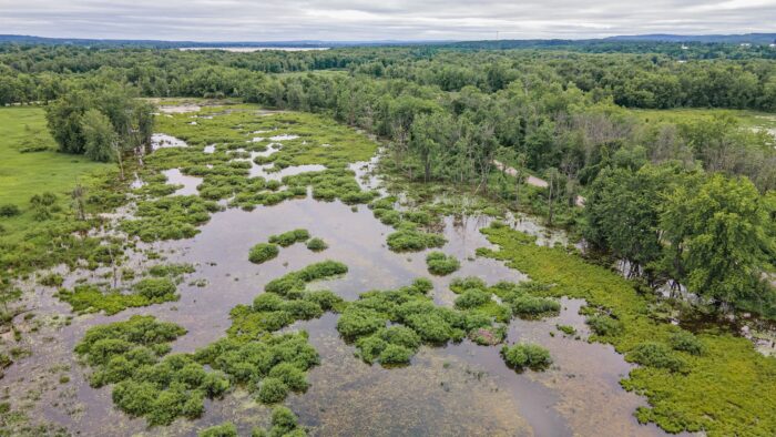 Le marais aux Rubaniers, en Outaouais, qui fait maintenant partie du parc national de Plaisance.