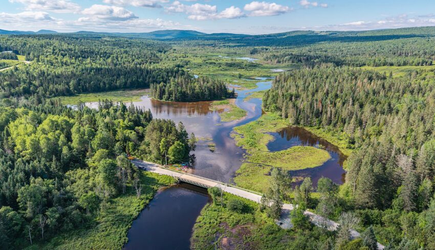 50 ans d’action pour les milieux humides au Québec