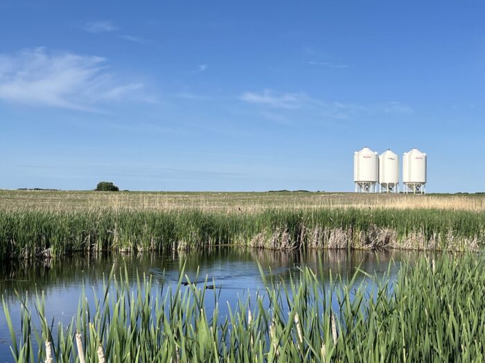 Un milieu humide du projet Burgess RCLP, près des réservoirs de stockage agricole. Crédit : Scott Henowitch