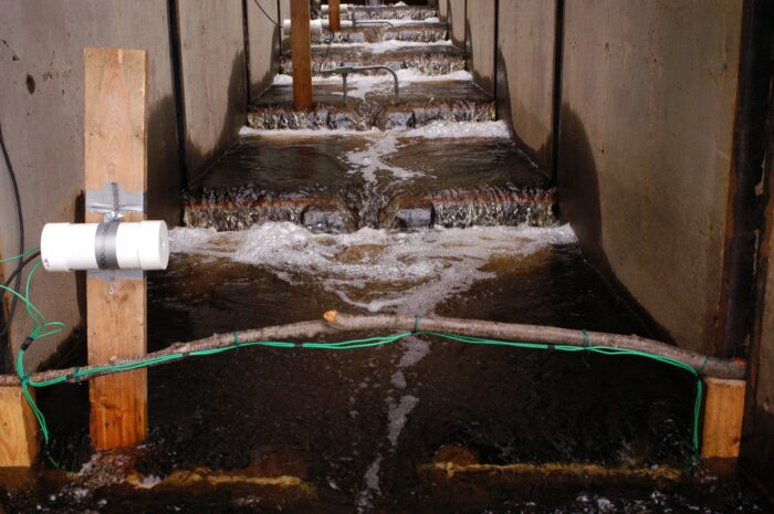 Passe à poissons de type « bassin et déversoir » au projet CIC de Front Lake, un site de recherche à long terme qui a été reconstruit pour améliorer le passage des poissons pendant l’étude.