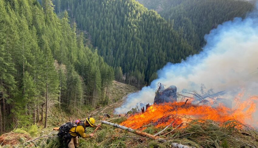 Entre la fonte des glaces et le feu