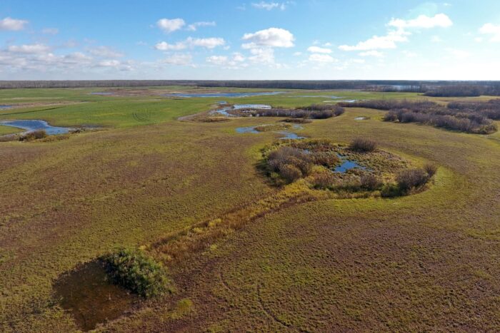 Restauration des milieux humides dans le bassin versant de la rivière Assiniboine, en Saskatchewan.