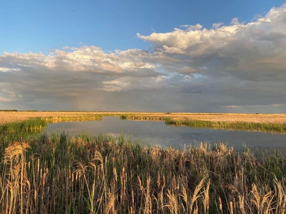 Canards Illimités Canada acquiert East Meadows —   Le plus grand achat foncier à des fins de conservation dans l&rsquo;histoire du Manitoba