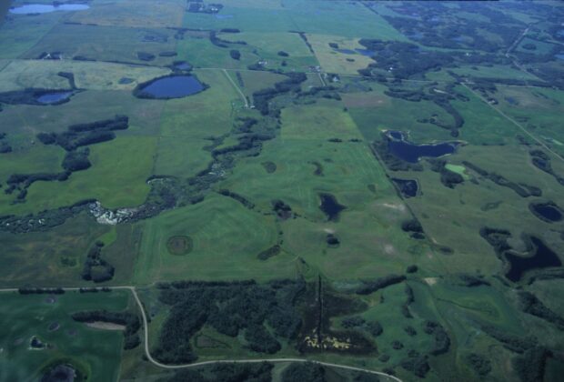 Quand les milieux humides régulent le ruissellement dans le nord des Grandes Plaines