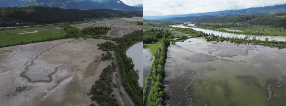Mise à l’épreuve des projets de restauration menés par Canards Illimités Canada par les récentes inondations