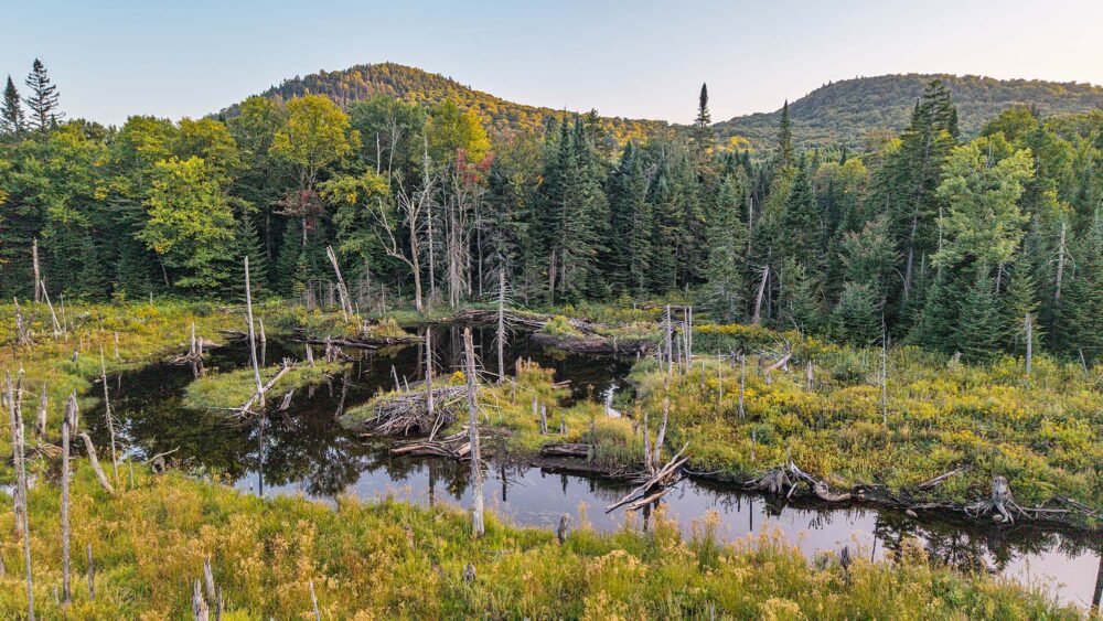 Près de 2 000 hectares maintenant conservés dans le   haut-bassin versant de la rivière Saint-Charles
