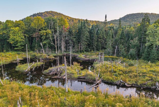 Près de 2 000 hectares maintenant conservés dans le   haut-bassin versant de la rivière Saint-Charles
