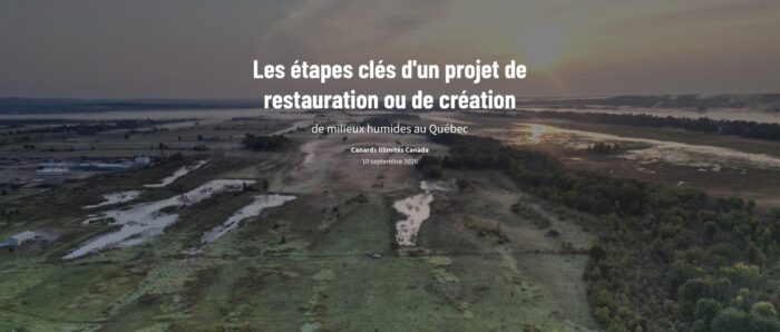 La nouvelle carte narrative