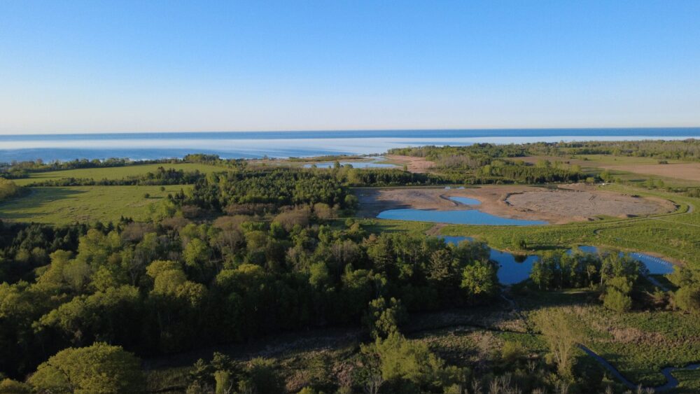 L’organisme Central Lake Ontario Conservation Authority et Canards Illimités Canada restaurent plus de 10 hectares de milieux humides côtiers et obtiennent un financement pour l’avenir