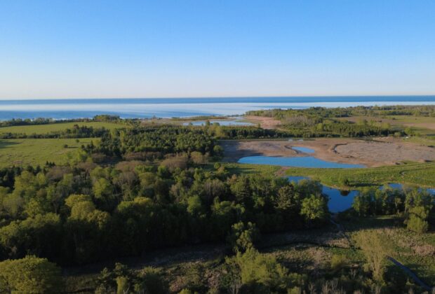 L’organisme Central Lake Ontario Conservation Authority et Canards Illimités Canada restaurent plus de 10 hectares de milieux humides côtiers et obtiennent un financement pour l’avenir