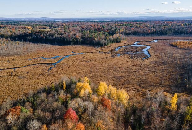 Des dons de plus de 2 millions de dollars et plus de 450 hectares de milieux naturels conservés dans la MRC d’Argenteuil
