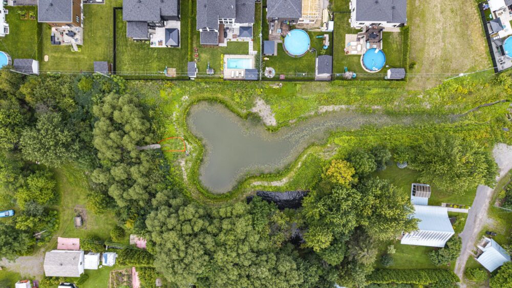 Le réaménagement du bassin du chemin Doré concilie gestion des eaux pluviales, biodiversité et accès à un espace vert.
